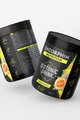 ENDORPHIN NUTRITION ποτά - ISO DRINK CANTALOUPE 500gr